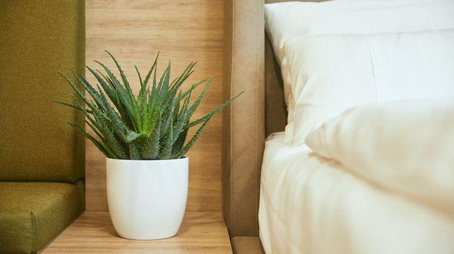 Rioca Vienna Posto 1 Aparthotel Rom bilde